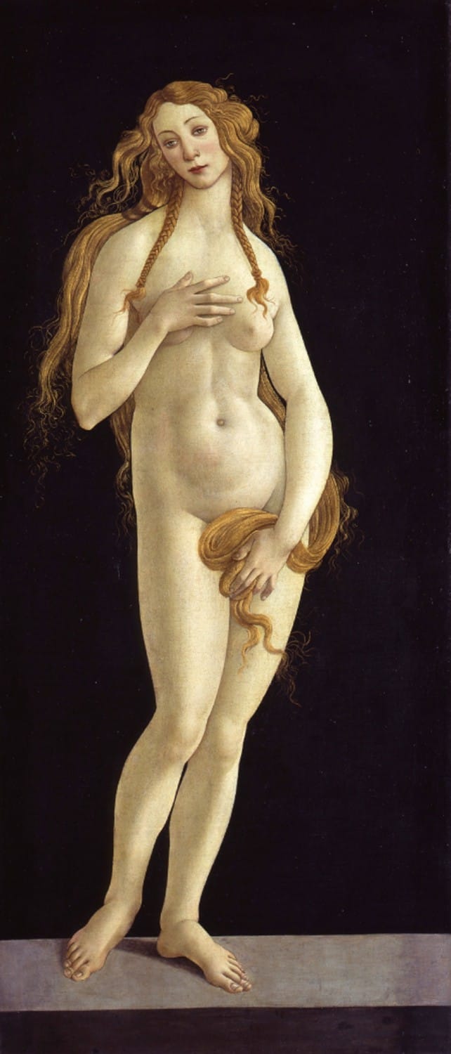 Botticelli Reimagined