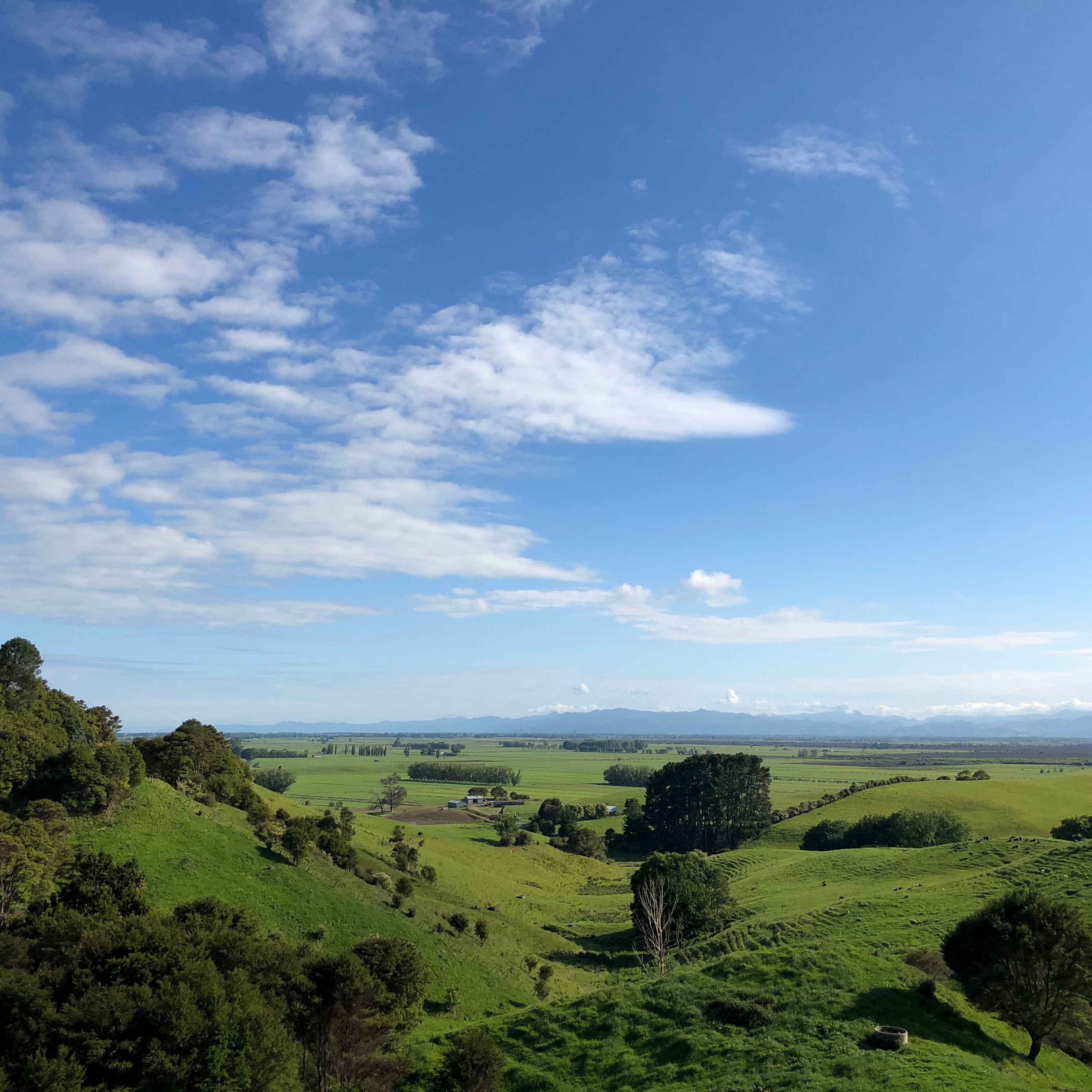 Driving in New Zealand | Laurie Ruettimann | Punk Rock HR Blog